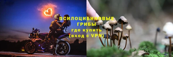 круглые Алзамай